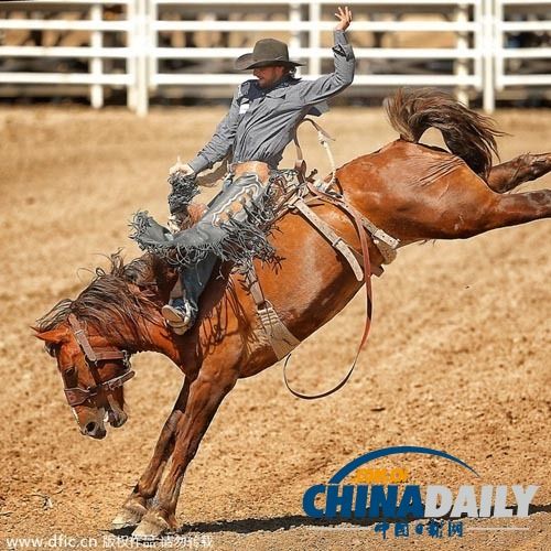 PG-Karsa赛事官方发布败北新规，加拿大队争议不断！的简单介绍